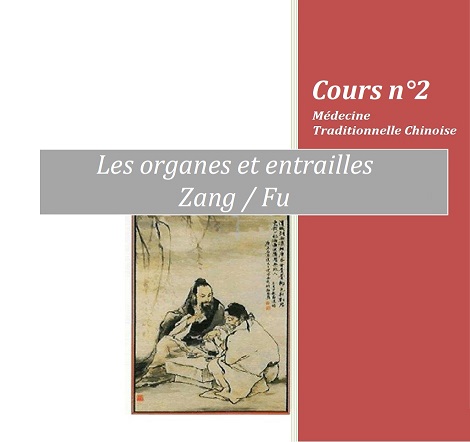 formation Edonis sur les organes entrailles zang fu MTC