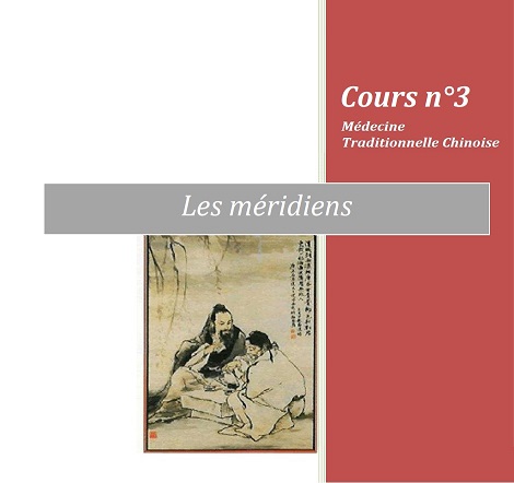 formation Edonis sur les meridiens d'acupuncture MTC