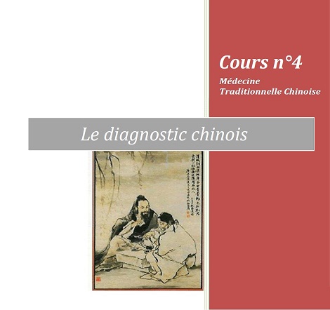 formation Edonis sur le diagnostic chinois MTC