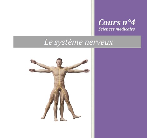 formation Edonis sur le systeme nerveux