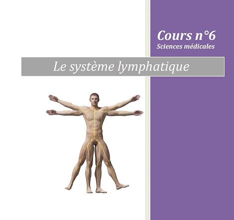 formation Edonis sur le systeme lymphatique