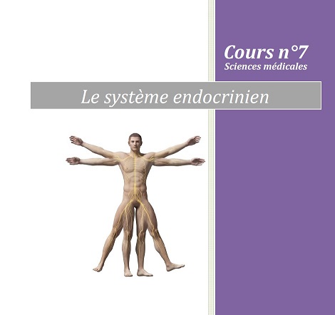 formation Edonis sur le systeme endocrinien