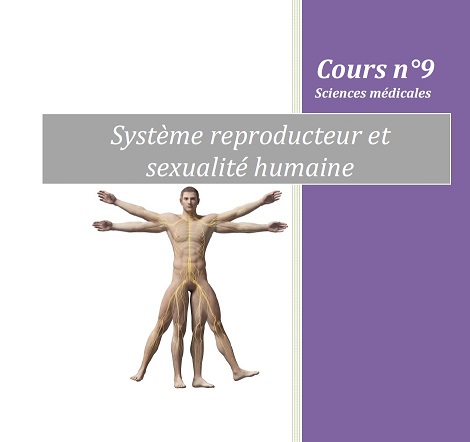 formation Edonis sur le systeme reproduction et sexualité