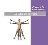 Physiologie du système nerveux