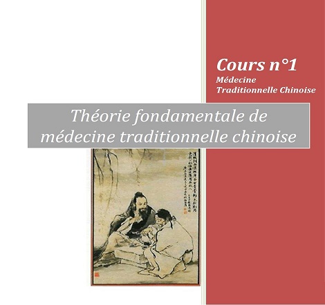 Formation en médecine traditionnelle chinoise : Les connaissances